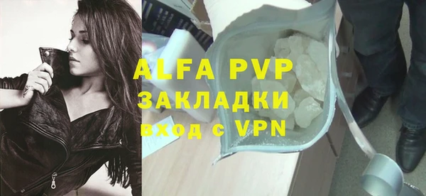 спайс Богданович
