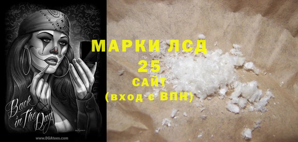 спайс Богданович